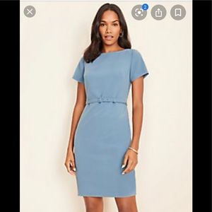 Gorgeous NWT AnnTaylor Sheeth dress!